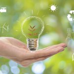 5 Tips to Make Your Office More Environmentally Friendly