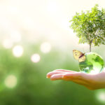 Alternatives to ISO 14001 for Environmental Management 