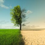 Incorporating Climate Change within the Context of your Management System